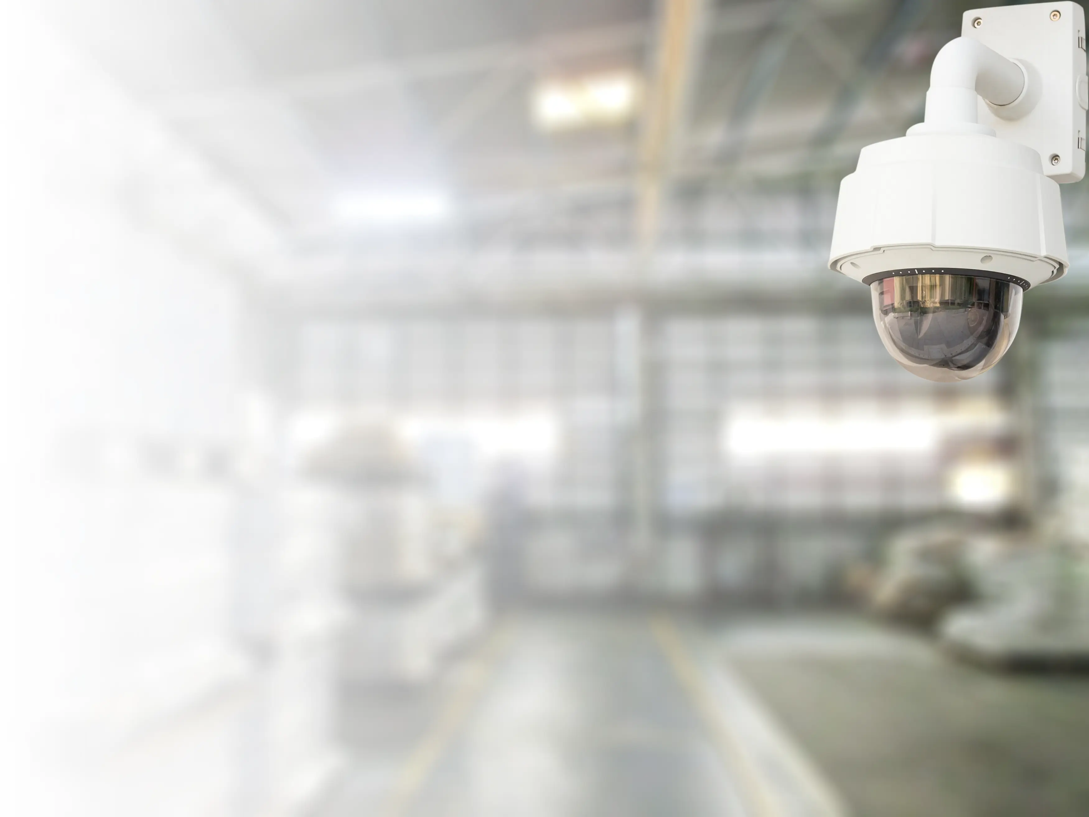 Shutterstock 310270736 (1)